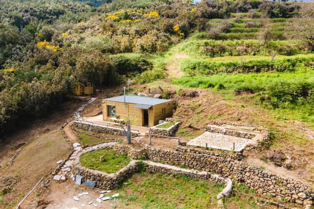 El Pino Centenario 3 La Orotava Eksteriør bilde